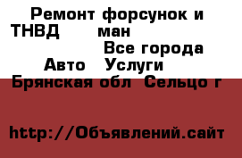 Ремонт форсунок и ТНВД Man (ман) TGA, TGL, TGS, TGM, TGX - Все города Авто » Услуги   . Брянская обл.,Сельцо г.